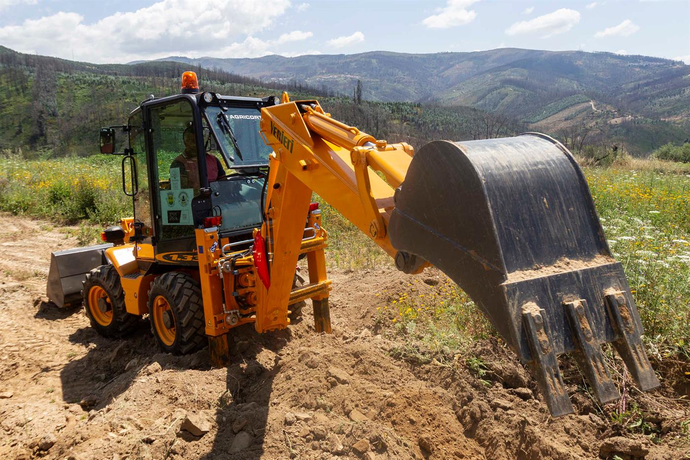 Erguer a terra das cinzas. A urgência que mobilizou Valado