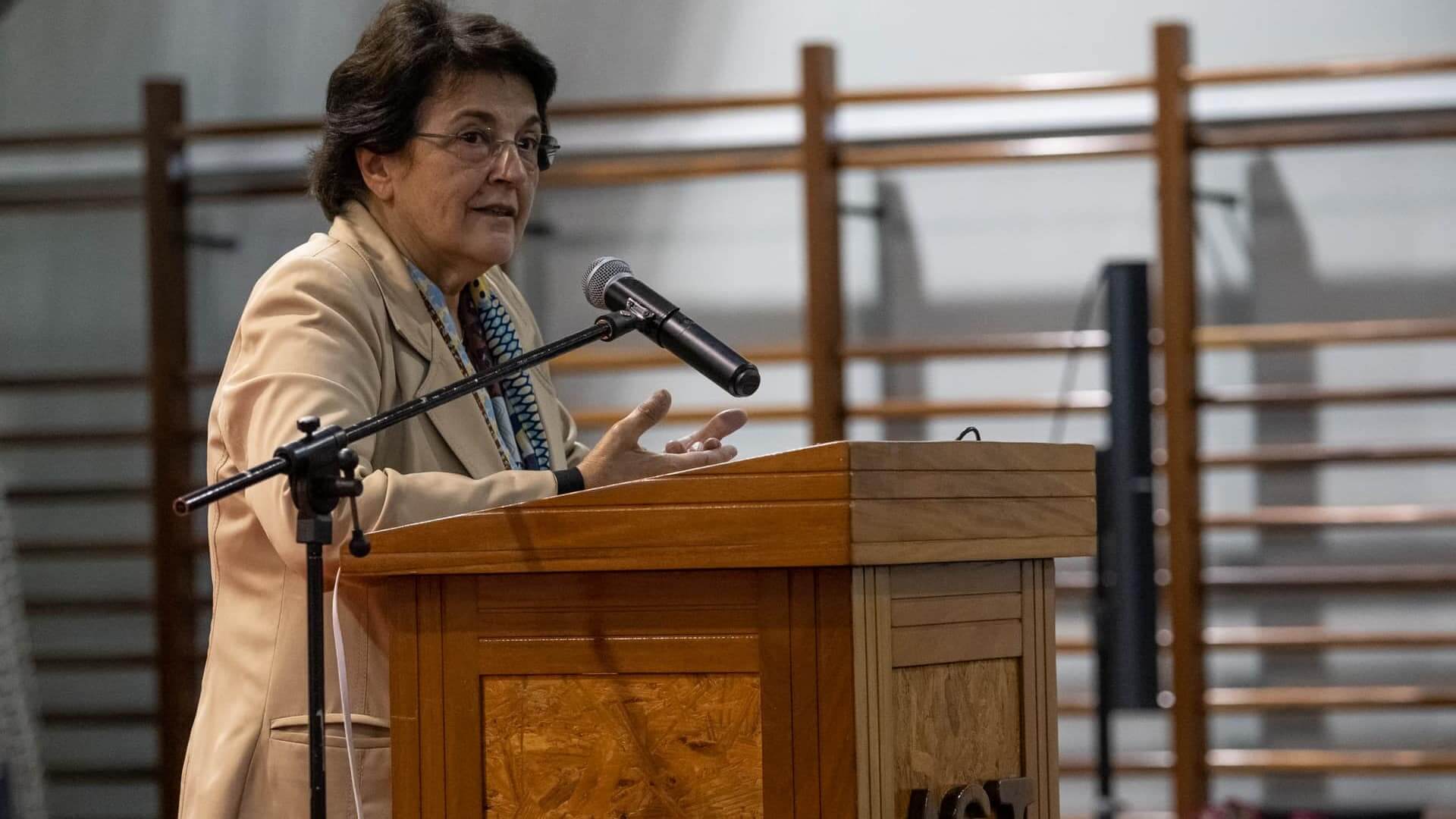 seminário jovens em risco de exclusão - ana jorge