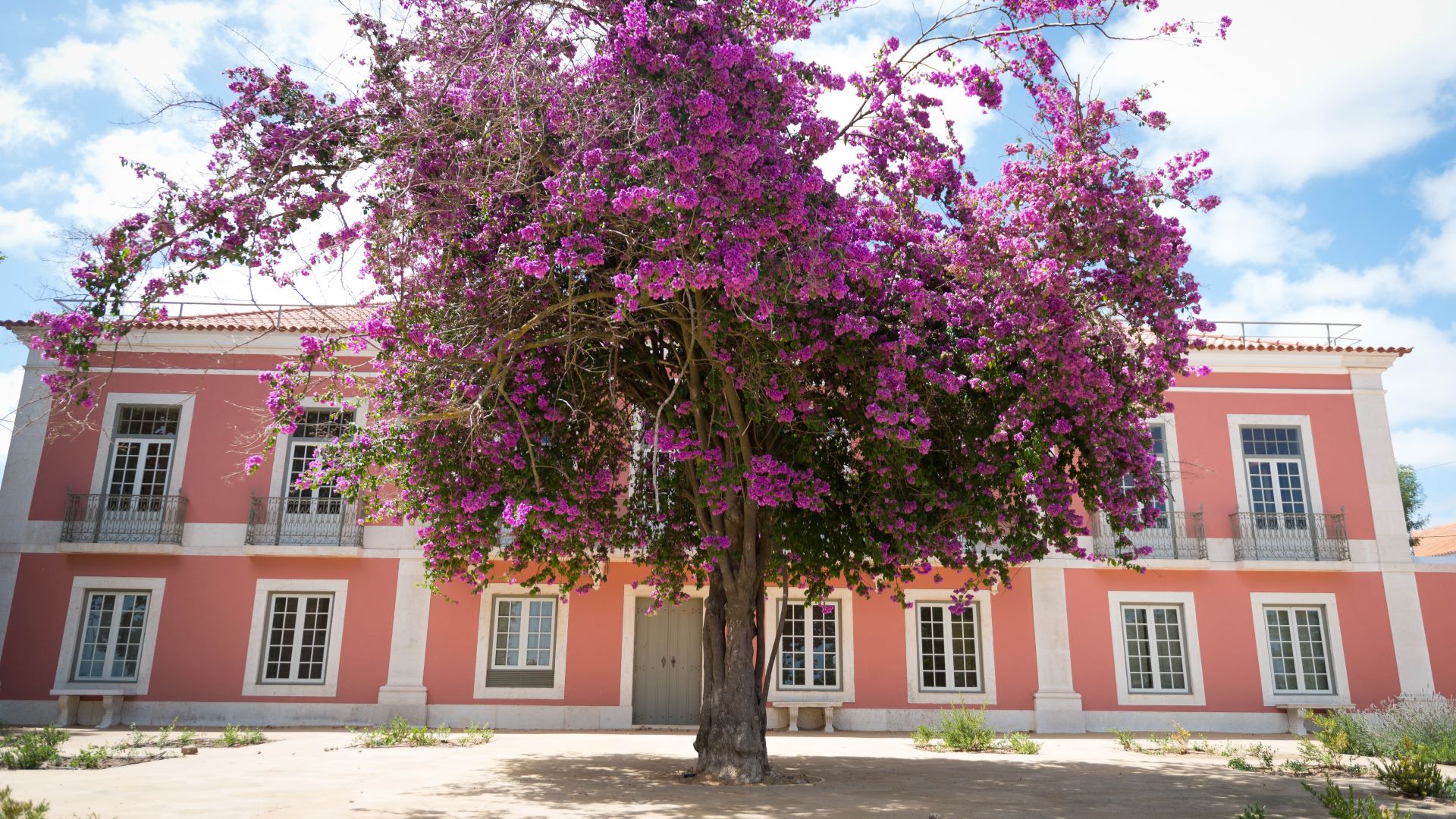 Quinta Alegre