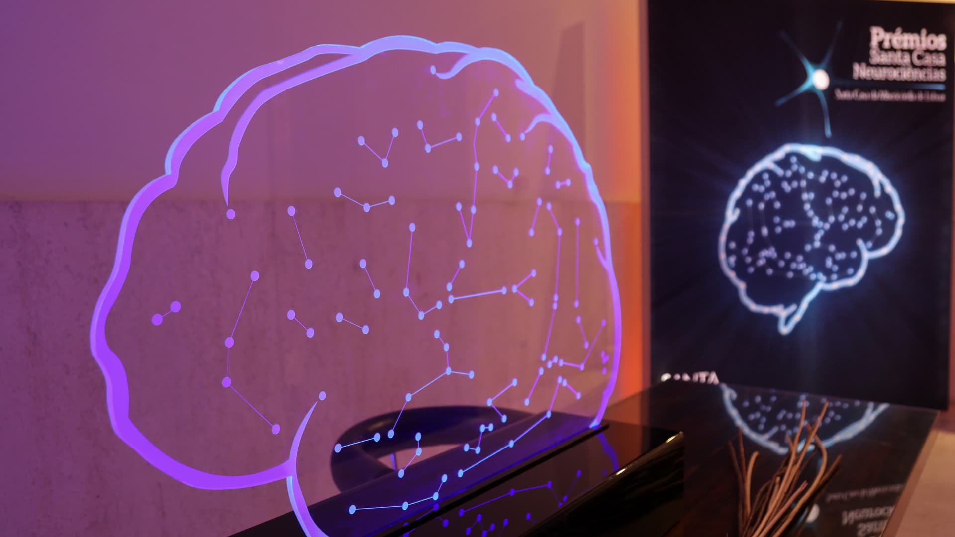 imagem de cérebro, associada aos prémios neurociências da santa casa