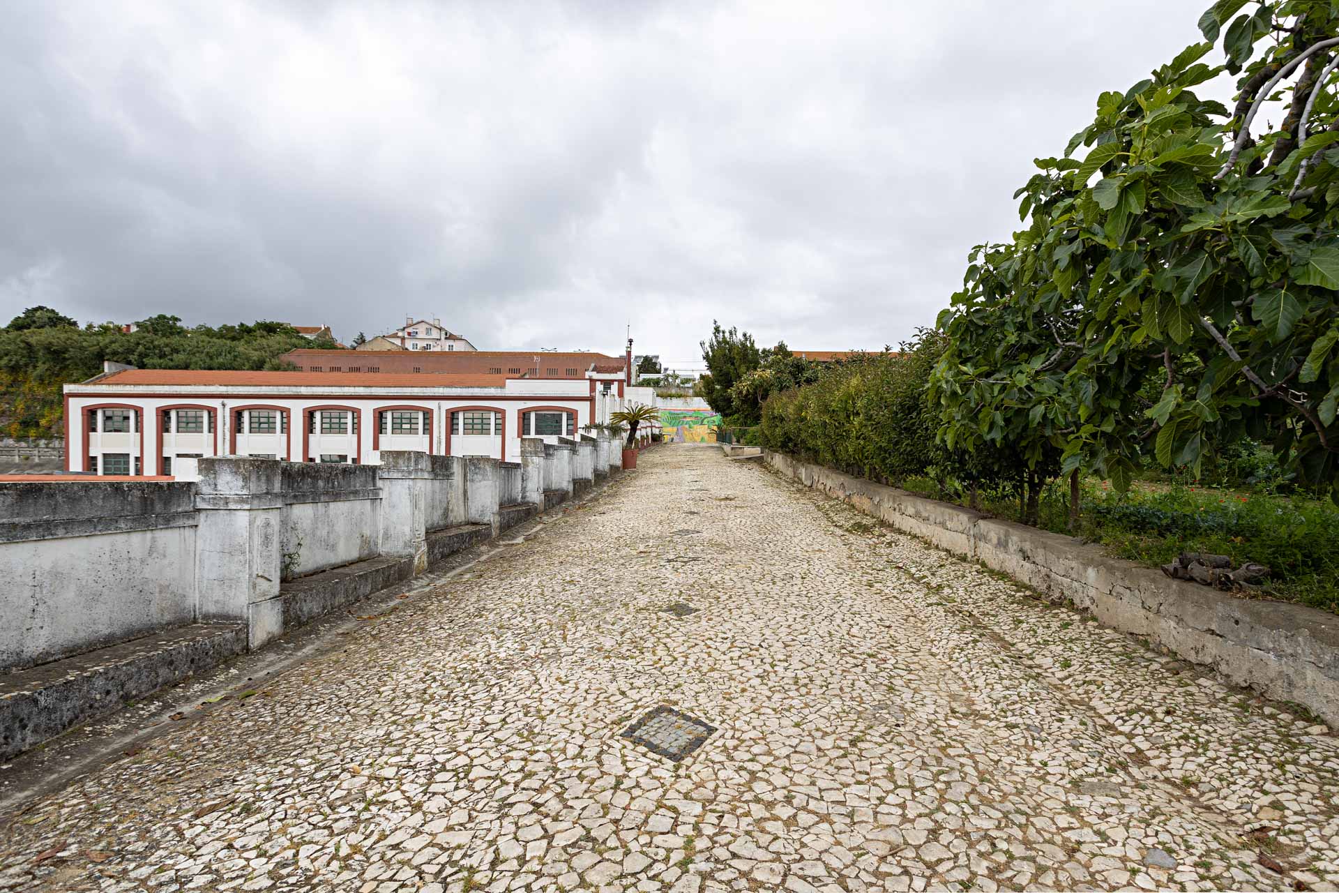 Mitra - Espaço Exterior