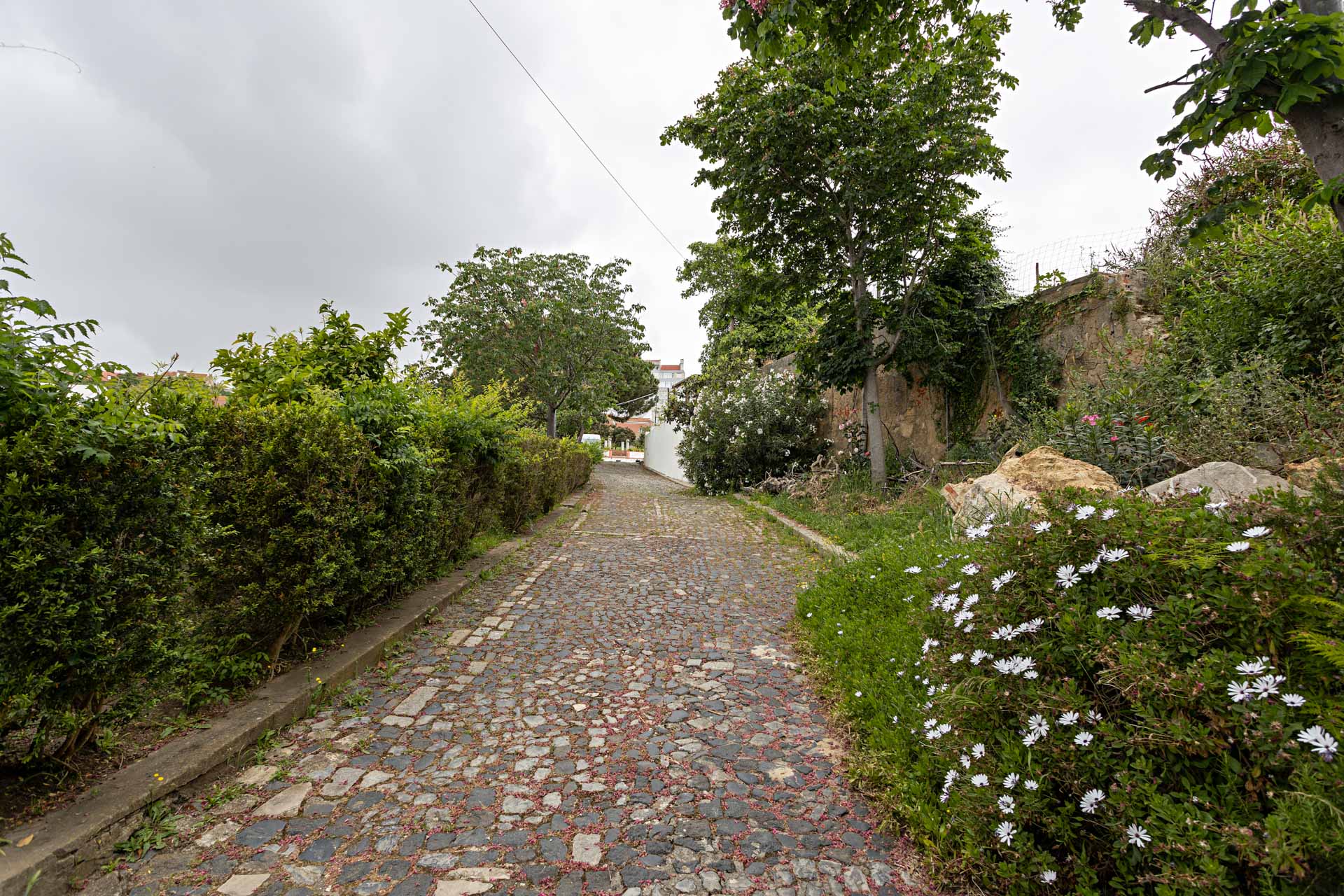 Mitra - Espaço Exterior