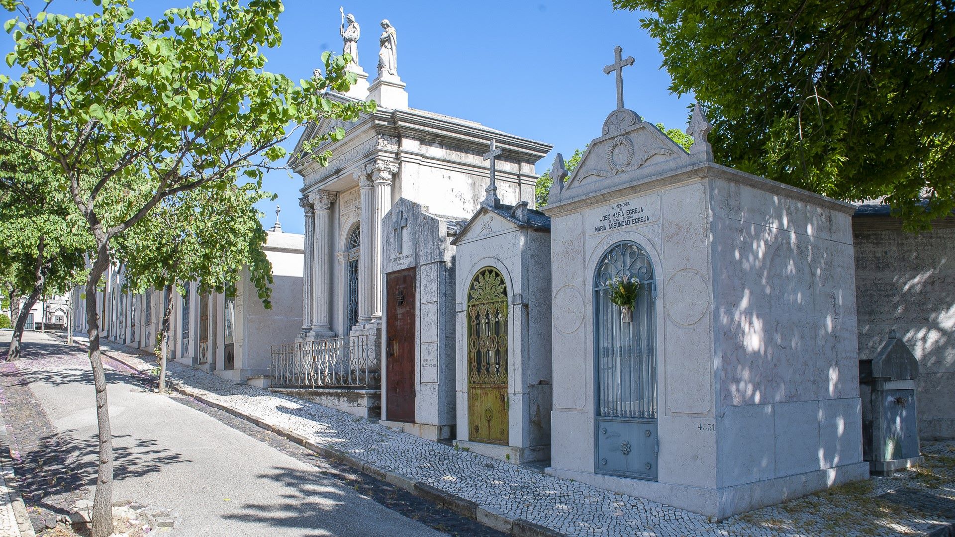 jazigos