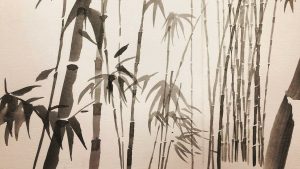 Plantas pintadas em aguarela