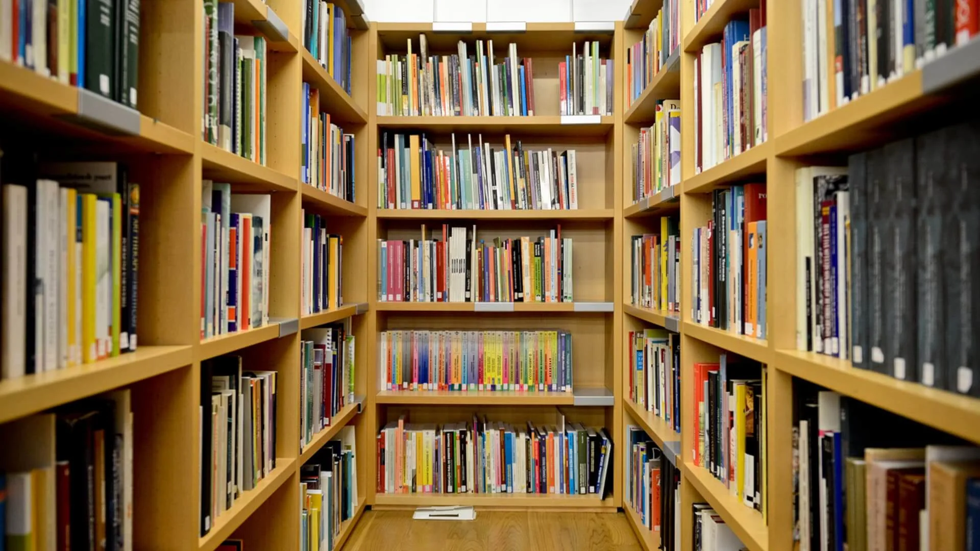 Santa Casa library