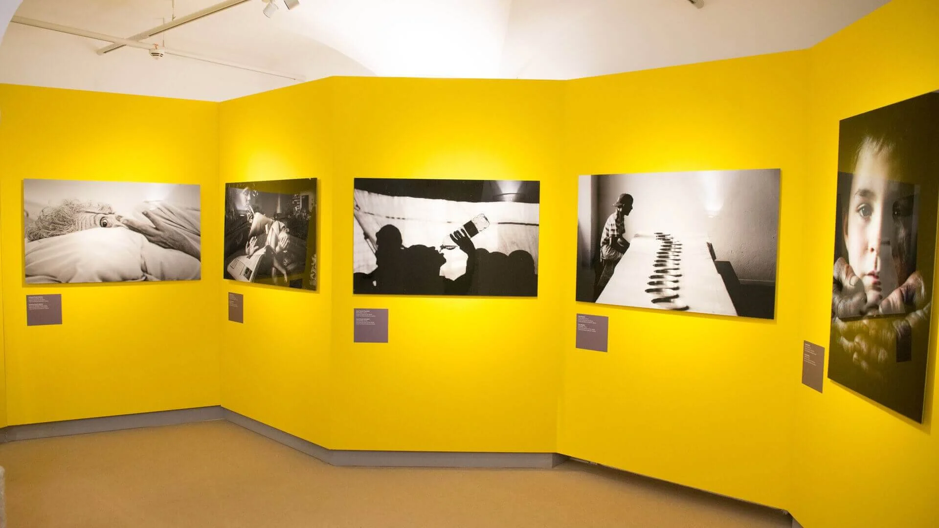 compromisso-exposicao Room from the "O Compromisso" exhibition with 5 portraits on the wall