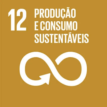 Objetivo de Desenvolvimento Sustentável 12: Produção e consumo sustentáveis