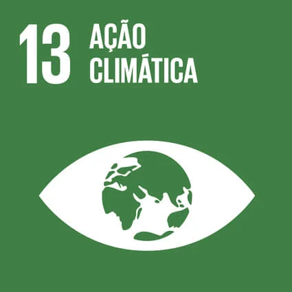13 Ação climática