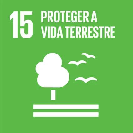 15 Proteger a vida terrestre